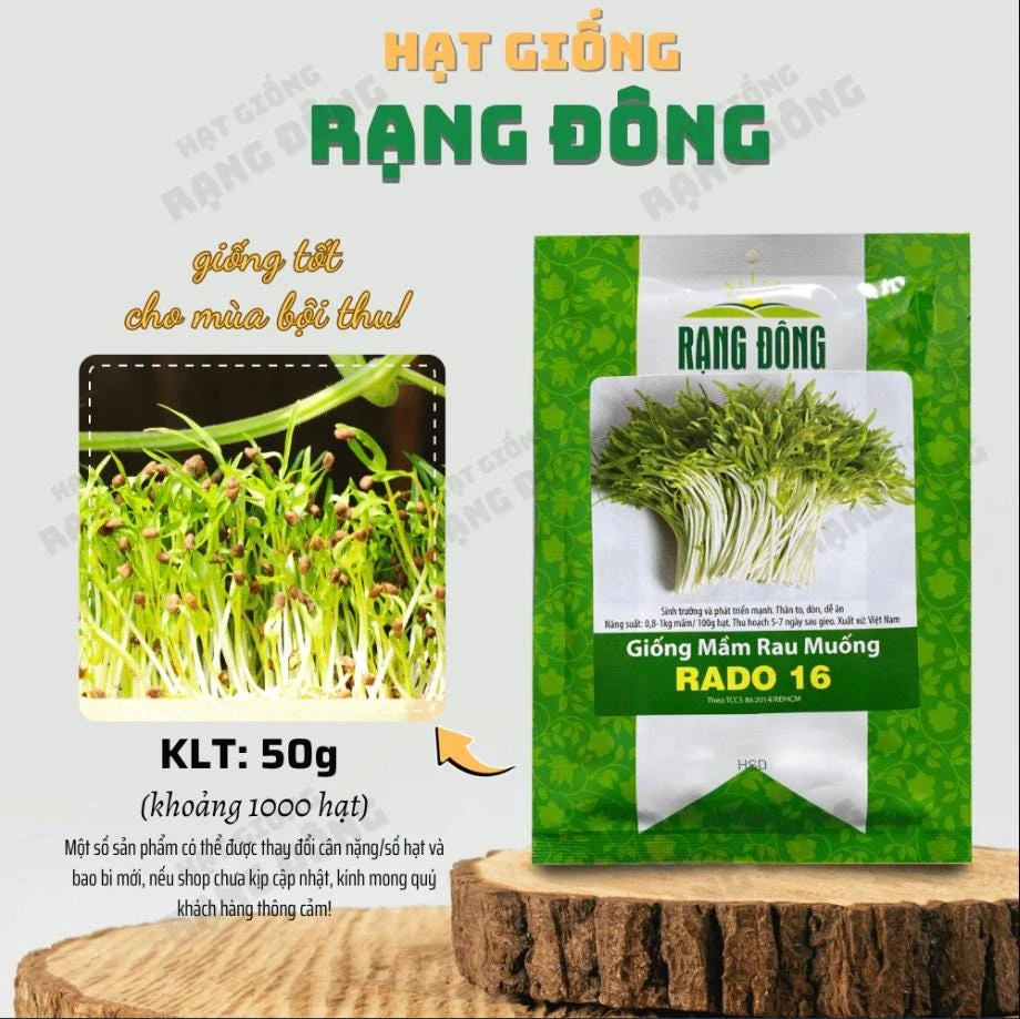 Water Spinach Sprouts Seeds - 1000 Ong Choy Seeds for Planting - 50 Gr - Image 3