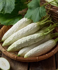 White Bitter Gourd Seeds – Heirloom Ivory Bitter Melon for Asian Cuisine – 10 Seeds - Image 2