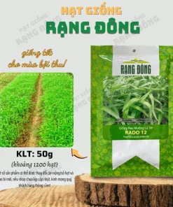 White Chinese Water Spinach Seeds – 1200 Seeds – Warm Weather Vegetable - Image 4