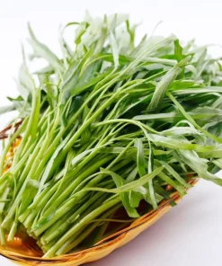 White Chinese Water Spinach Seeds – 1200 Seeds – Warm Weather Vegetable - Image 1