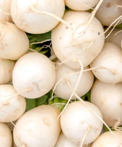 White Egg Turnip Seeds – 300 Count – Brassica Rapa Vegetable Seeds - Image 11