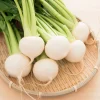 White Egg Turnip Seeds – 300 Count – Brassica Rapa Vegetable Seeds - Image 1