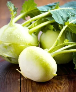 White Vienna Kohlrabi Seeds - 300 Heirloom Vegetable Seeds for Garden - Image 1