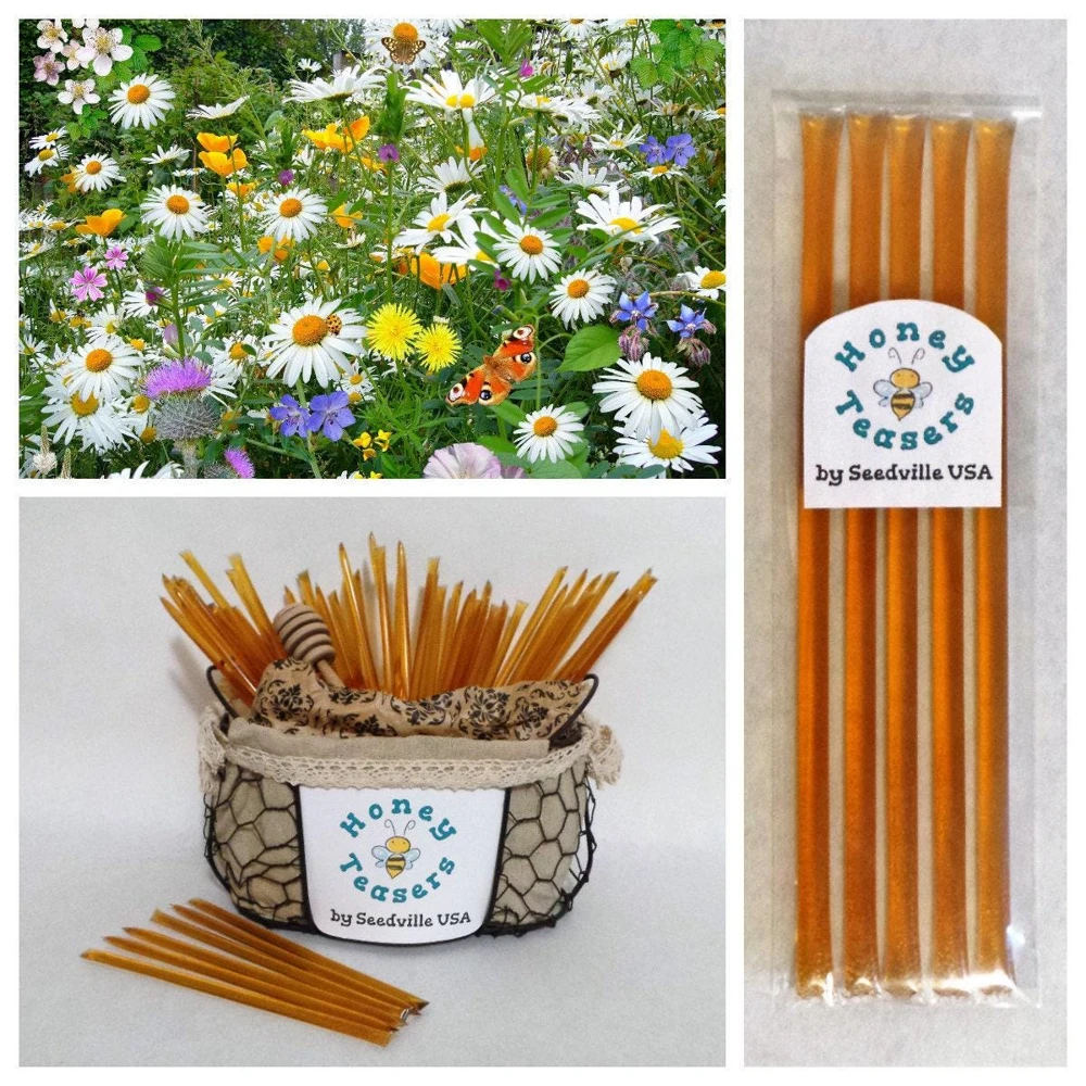 Wildflower Blossom Honey Sticks - Natural Honey Snack Straws, 5-Pack - Image 1