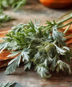 Wormwood Seeds - Heirloom Medicinal & Aromatic Herb - 100 Seeds for Outdoor Gardens - Image 3