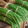 Yard Long Bean Seeds - 15 Seeds, Easy-to-Grow Asian Vegetable for Gardens - Image 1