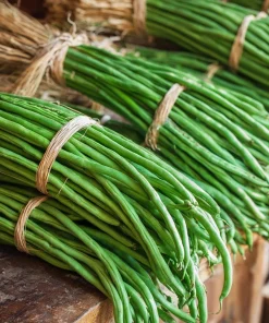 Yard Long Bean Seeds - 15 Seeds, Easy-to-Grow Asian Vegetable for Gardens - Image 1