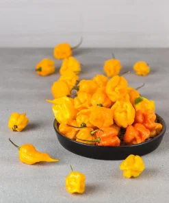 Yellow Carolina Reaper Pepper Seeds – 10 Count – World's Hottest Chili - Image 2