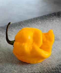 Yellow Carolina Reaper Pepper Seeds – 10 Count – World's Hottest Chili - Image 3
