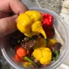 Yellow Carolina Reaper Pepper Seeds – 10 Count – World's Hottest Chili - Image 1