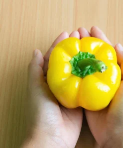 Yellow Cheese Pimento Pepper Seeds - 50 Sweet Capsicum Annuum - Image 2