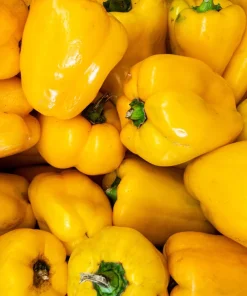 Yellow Cheese Pimento Pepper Seeds - 50 Sweet Capsicum Annuum - Image 1
