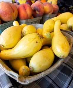 Yellow Crookneck Squash Seeds - 50 Seed Pack - Summer Vegetable - Image 7
