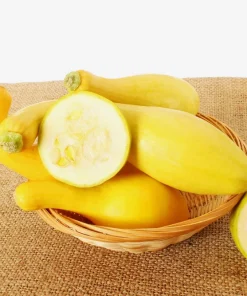 Yellow Crookneck Squash Seeds - 50 Seed Pack - Summer Vegetable - Image 8