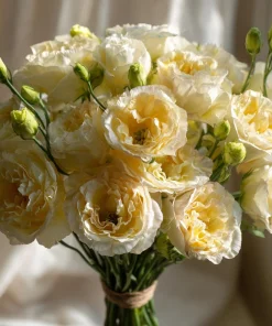 Yellow Lisianthus Seeds - Soft Apricot Double Ruffled Blooms - 25 Seeds - Image 3