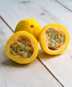 Yellow Passion Fruit Seeds - 10 Count, Passiflora Edulis Flavicarpa - Image 11