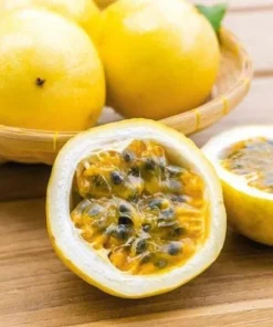 Yellow Passionfruit Vine Live Plants - Sweet Tropical Fruit, 4-6 Inch Tall, Set of 2 - Image 2