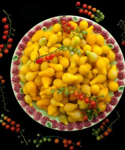 Yellow Pear Tomato Seeds - 300 Count Heirloom Vegetable Seeds, Lycopersicon lycopersicum - Image 9