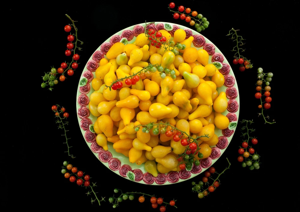 Yellow Pear Tomato Seeds - 300 Count Heirloom Vegetable Seeds, Lycopersicon lycopersicum - Image 9