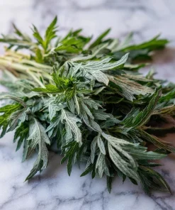 Yomogi Japanese Mugwort Seeds - Artemisia princeps Heirloom Herb - 30 Seeds - Image 5
