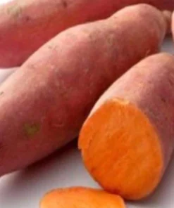 10 Beauregard Sweet Potato Plants - Organic Slips for Growing - Image 1