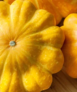 10 Golden Yellow Bush Scallop Squash Seeds - Patty Pan Vegetable Seeds - Image 1