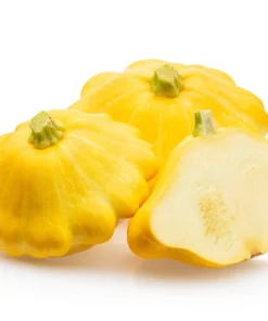 10 Golden Yellow Bush Scallop Squash Seeds - Patty Pan Vegetable Seeds - Image 5