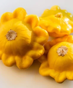 10 Golden Yellow Bush Scallop Squash Seeds - Patty Pan Vegetable Seeds - Image 6