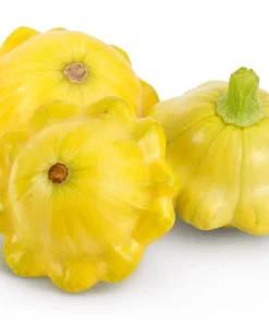 10 Golden Yellow Bush Scallop Squash Seeds - Patty Pan Vegetable Seeds - Image 7