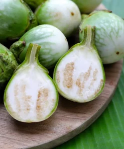 10 Kermit Eggplant Seeds - Green White Thai Solanum Melongena Vegetable Seeds - Image 3
