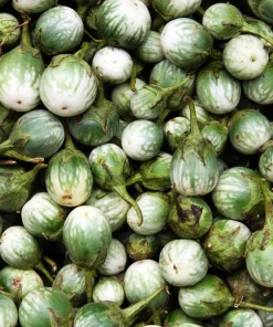 10 Kermit Eggplant Seeds - Green White Thai Solanum Melongena Vegetable Seeds - Image 4
