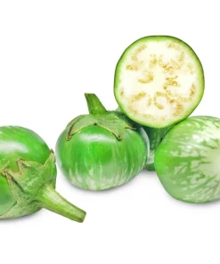 10 Kermit Eggplant Seeds - Green White Thai Solanum Melongena Vegetable Seeds - Image 6