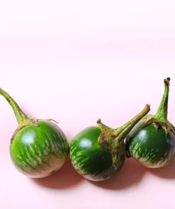 10 Kermit Eggplant Seeds - Green White Thai Solanum Melongena Vegetable Seeds - Image 7