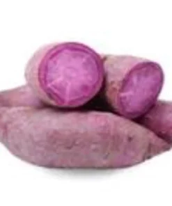 10 Molokai Purple Sweet Potato Slips - Organic Live Plants for Garden - Image 2