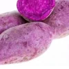 10 Molokai Purple Sweet Potato Slips - Organic Live Plants for Garden - Image 1