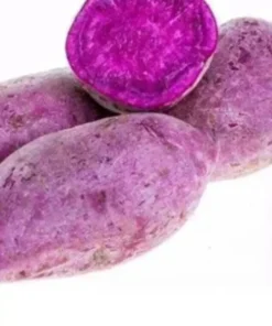 10 Molokai Purple Sweet Potato Slips - Organic Live Plants for Garden - Image 1