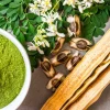10 Moringa Oleifera Seeds - Drumstick Tree Seeds for Planting - Image 1