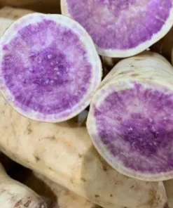 10 Okinawa Purple Sweet Potato Slips - Organic Cuttings for Planting - Image 9