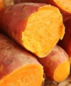 10 Orange Sweet Potato Slips - Organic Cuttings for Growing - Image 5