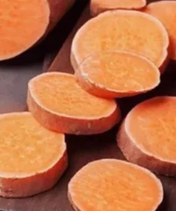 10 Orange Sweet Potato Slips - Organic Cuttings for Growing - Image 1