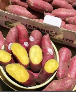 10 Organic Red Japanese Sweet Potato Cuttings - Ready to Plant Slips - Image 8