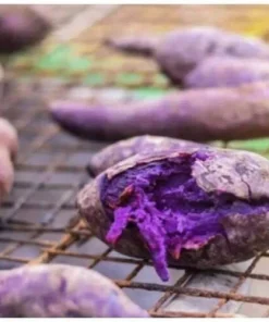 10 Purple Sweet Potato Slips - Live Plant Cuttings for Growing - Image 8