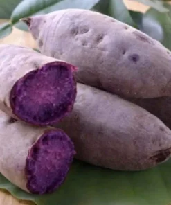 10 Purple Sweet Potato Slips - Live Plant Cuttings for Growing - Image 1
