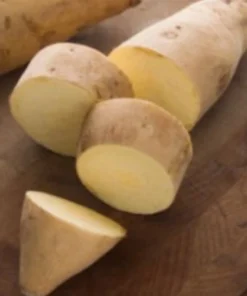 10 White Sweet Potato Slips - Asian Sweet Potato Cuttings - Vegetable Plants - Image 2