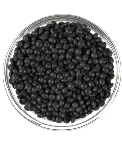 100 Black Lentil Bush Seeds - Lens Culinaris Vegetable Legume Sprouts - Image 6