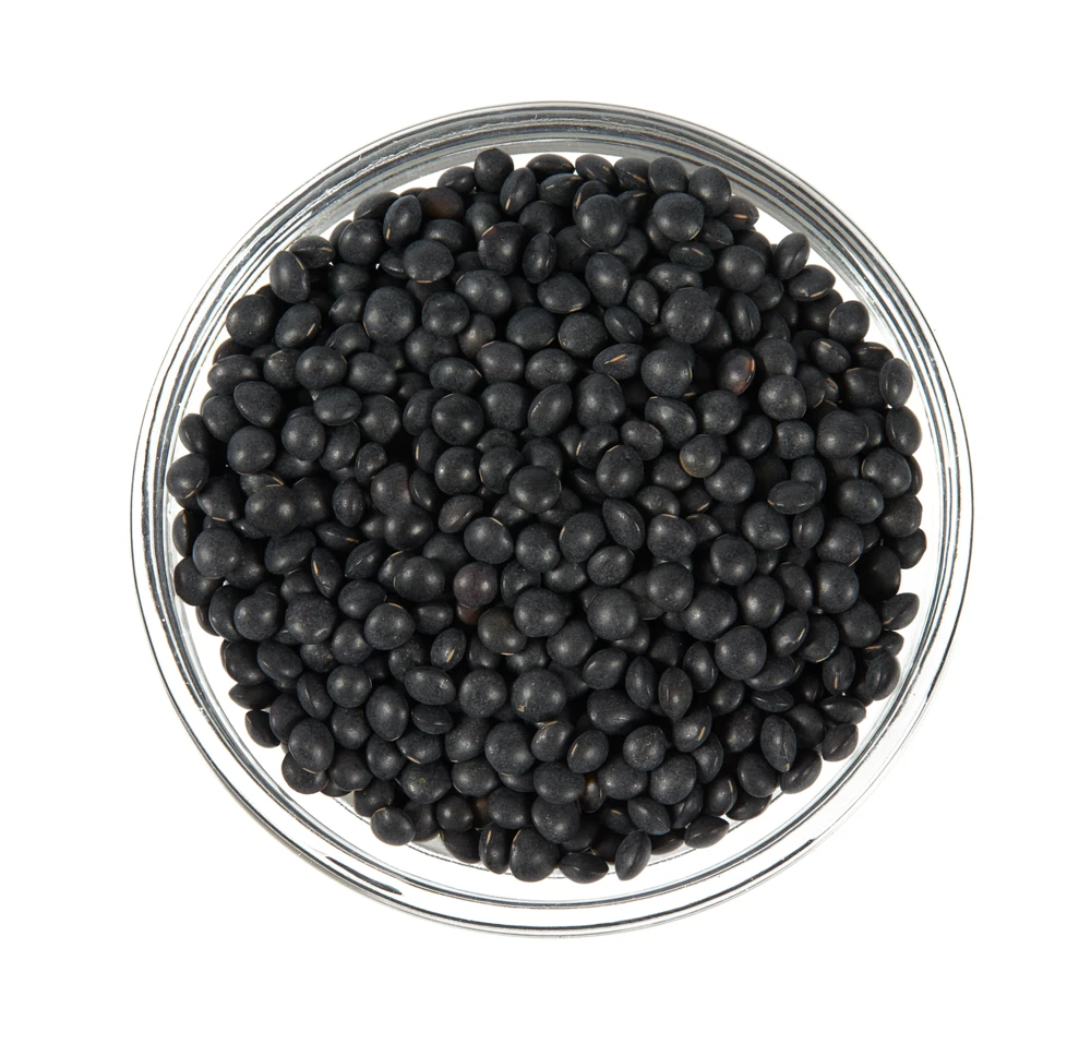 100 Black Lentil Bush Seeds - Lens Culinaris Vegetable Legume Sprouts - Image 6