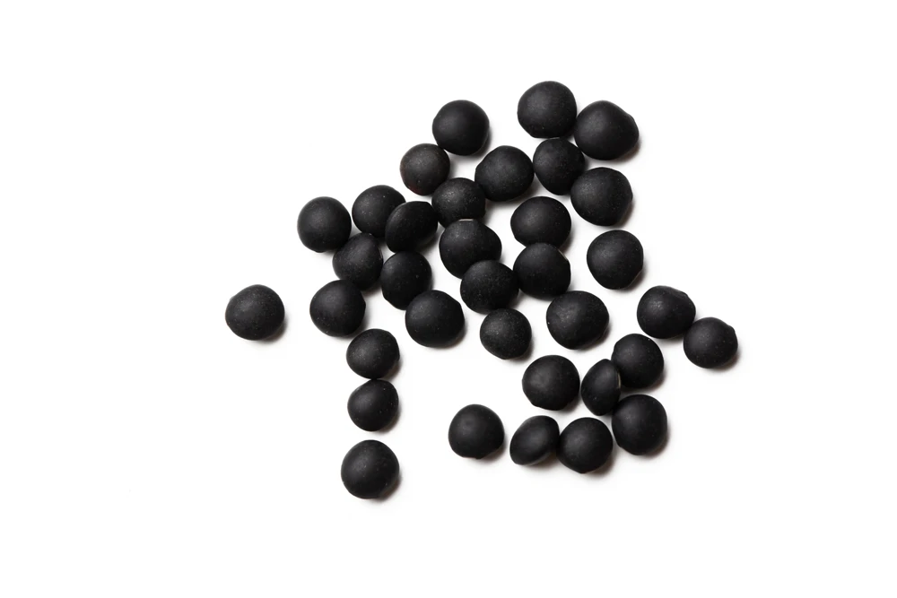 100 Black Lentil Bush Seeds - Lens Culinaris Vegetable Legume Sprouts - Image 9