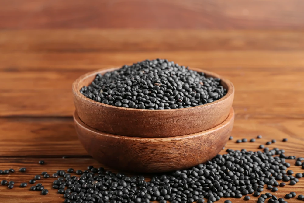 100 Black Lentil Bush Seeds - Lens Culinaris Vegetable Legume Sprouts - Image 1