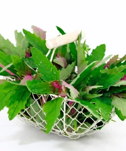 100 Giant Goosefoot Chenopodium Giganteum Purple Magenta Vegetable Seeds - Image 8