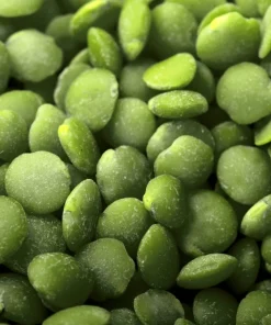 100 Green Lentil Seeds - Lens Culinaris Vegetable Seeds for Garden - Image 4